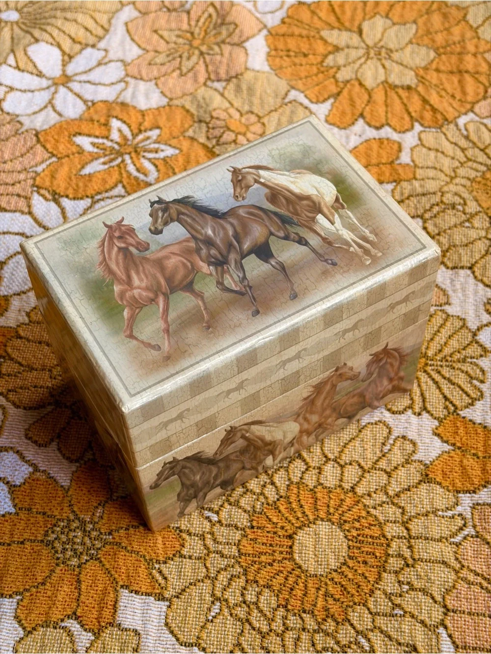 🐎🌾✨ Vintage Y2K Horse Recipe Box ✨🌾🐎